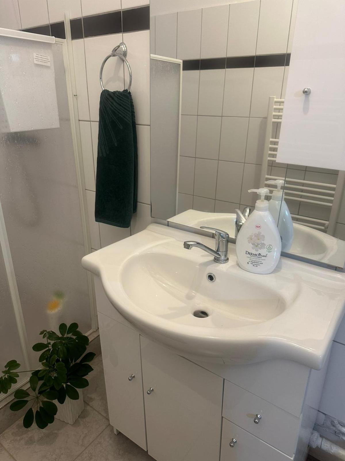 锡比乌盐矿镇Apartament La Ilie公寓 外观 照片