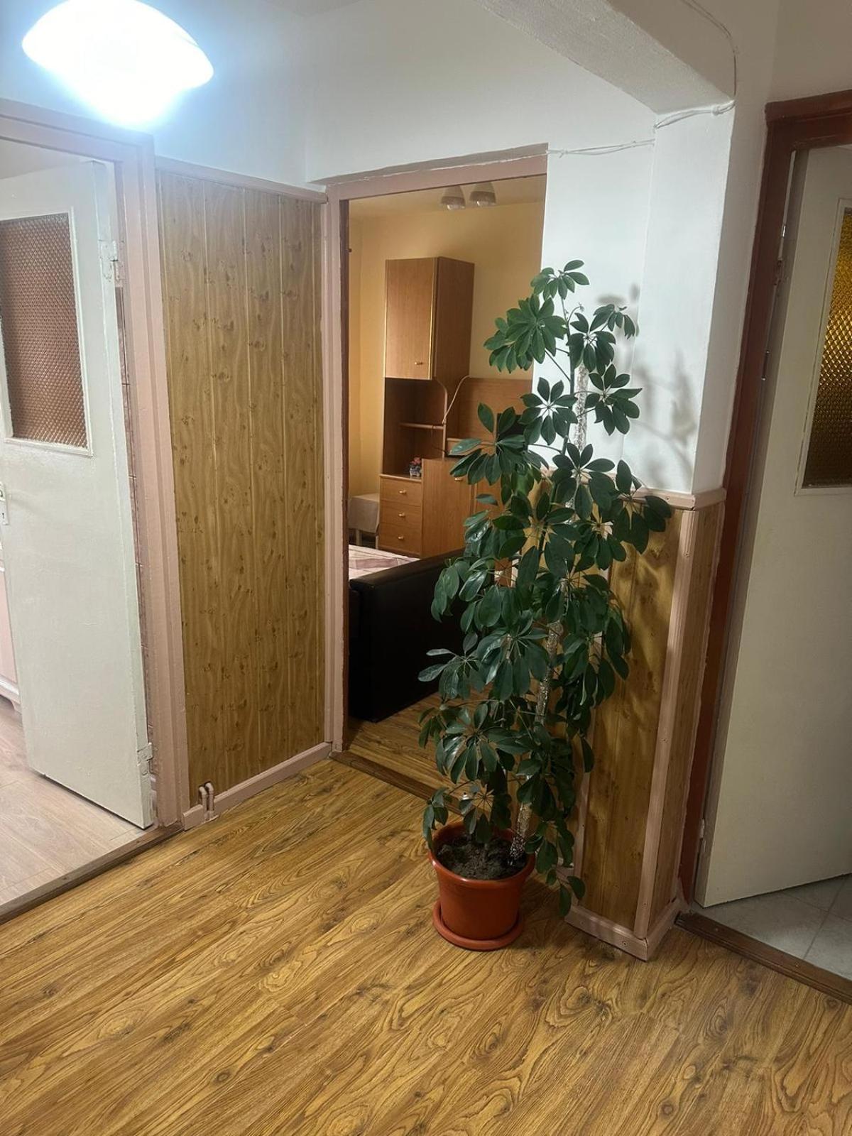 锡比乌盐矿镇Apartament La Ilie公寓 外观 照片