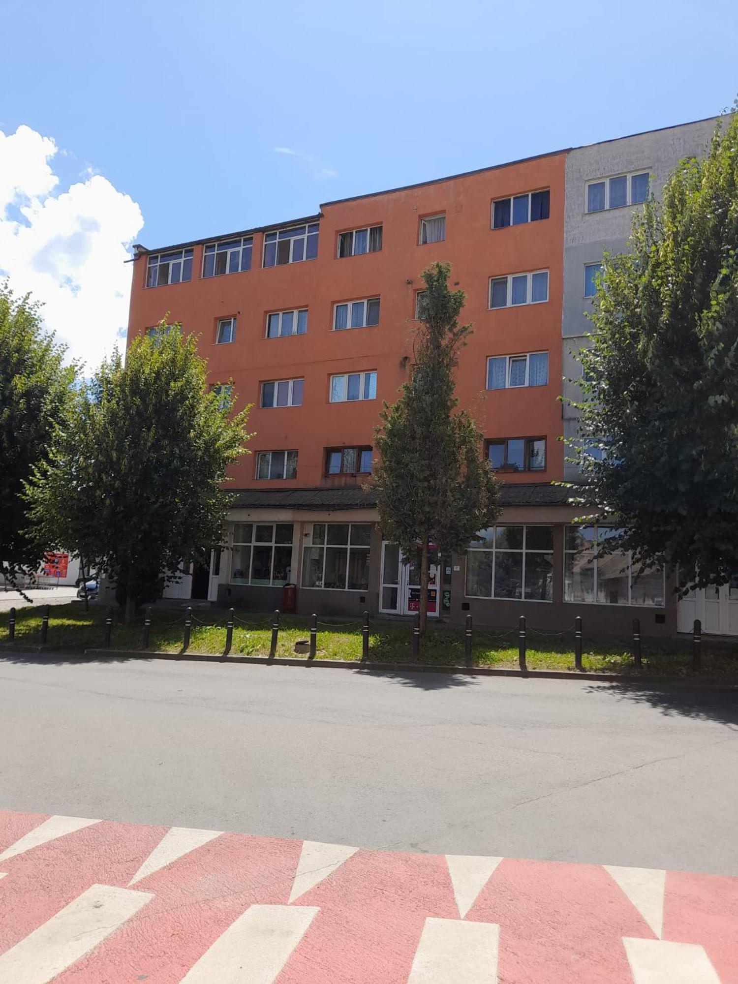 锡比乌盐矿镇Apartament La Ilie公寓 外观 照片